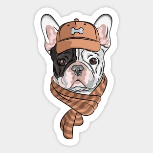 Hipster dog  French Bulldog Sticker